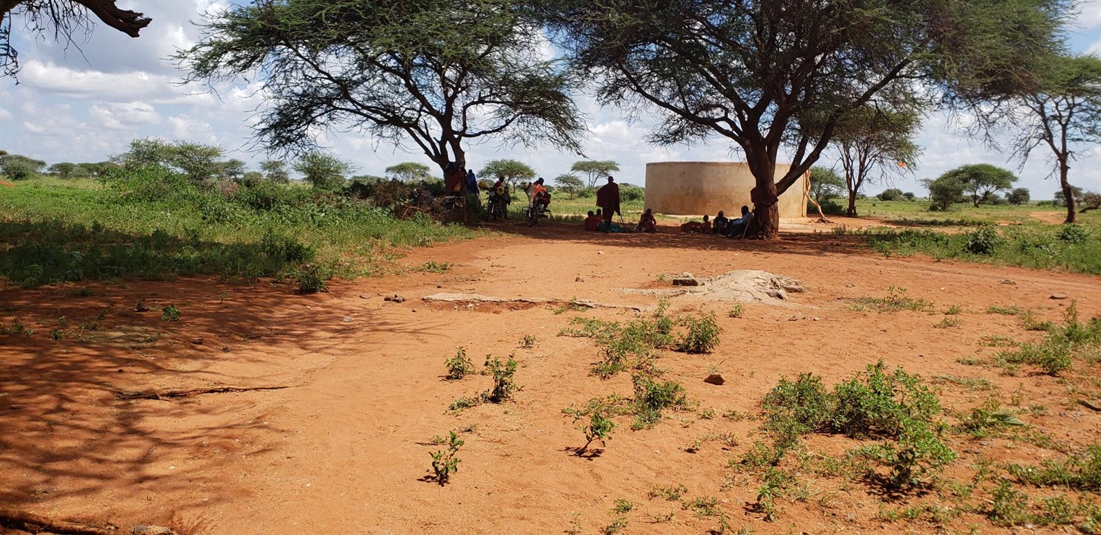 The Loitokitok grounds where Entepesi Kenya is based, with acacia trees and open plains